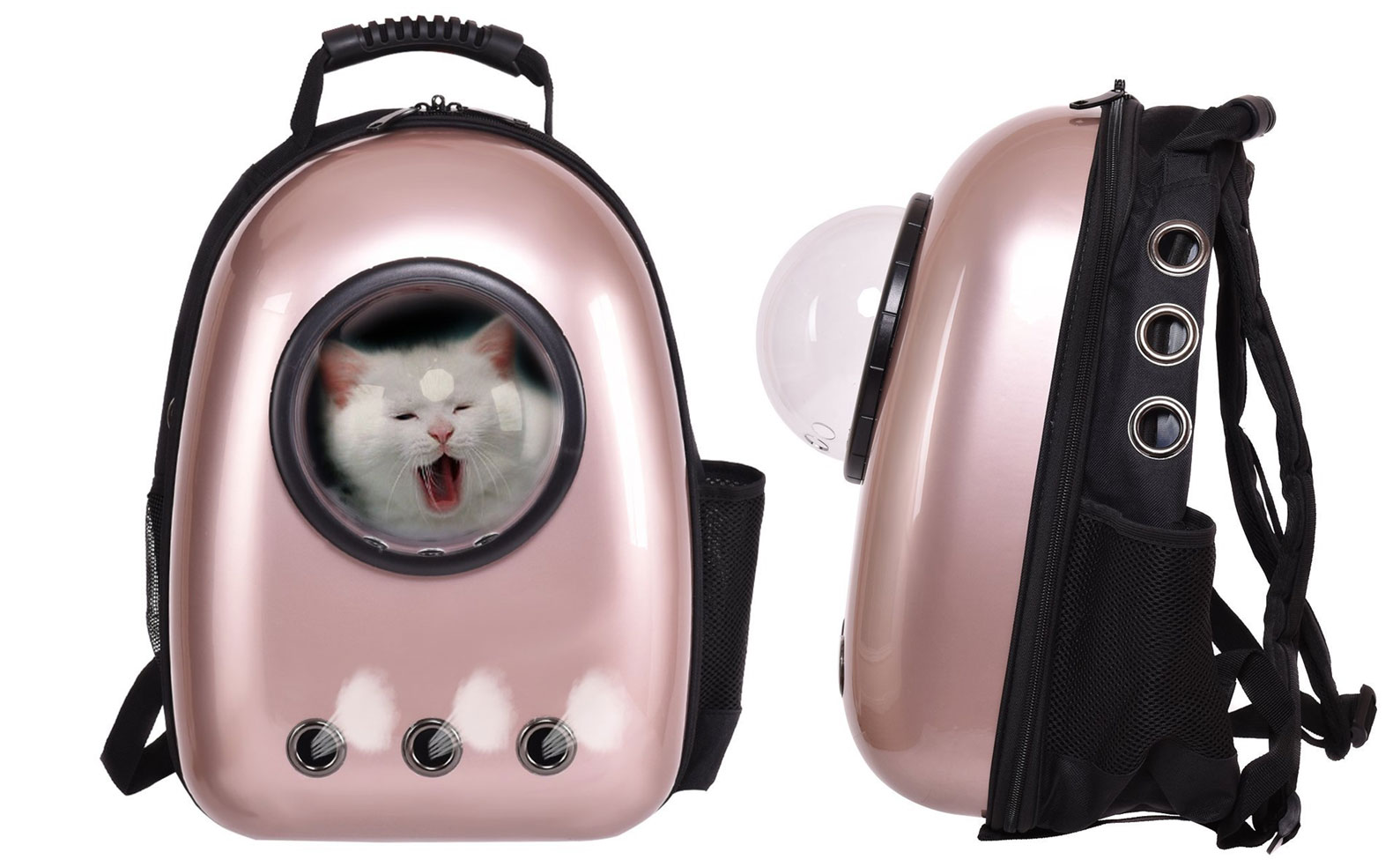 Travel Cat Backpack Instructions - Cat Meme Stock Pictures and Photos